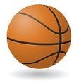 Basketball ball vector image