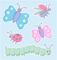 Happy little beetles butterflies and caterpillar vector image