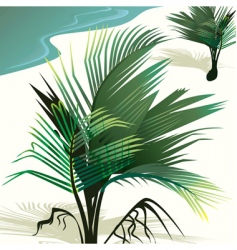 Coconut tree vector image
