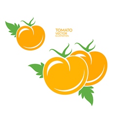 Yellow tomatoes vector image