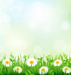Floral Field vector image