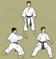 Karate vector image