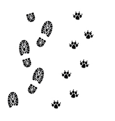Foot prints Foot prints vector image