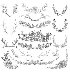 Black drawn herbs plants and flowers Black drawn herbs plants and flowers vector image