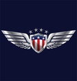 American Wings vector image