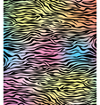 Zebra texture vector image
