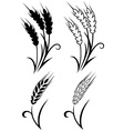 Wheat and rye vector image