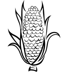 Corn symbol vector image