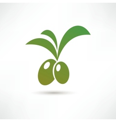Olive icon vector image