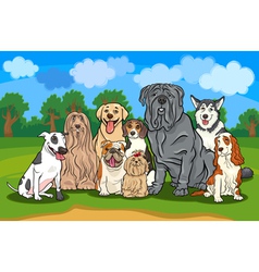 Purebred dogs group cartoon vector image