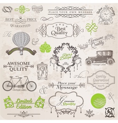 Set Calligraphic Design Elements vector image