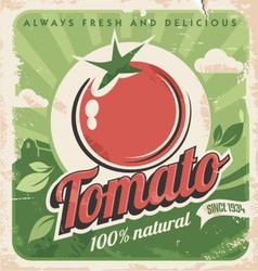 Vintage tomato poster vector image