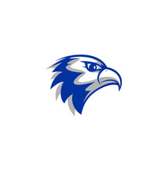 Falcon head Falcon head vector image