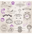 Set Calligraphic Design Elements vector image