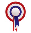Rosette awards Rosette awards vector image