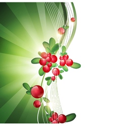 Green Frame With Cranberries vector image