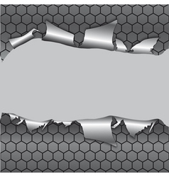Hexagon metallic background vector image