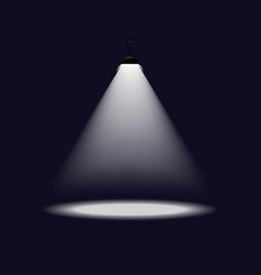 Lantern illuminates round scene image vector image