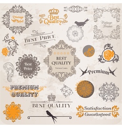 Set Calligraphic Design Elements vector image