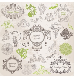 Set Calligraphic Design Elements vector image