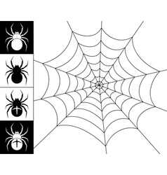 Spiders and web vector image