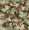 Camouflage jungle vector image