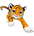 Cartoon baby tiger vector image