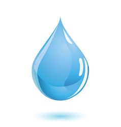 Water drop vector image