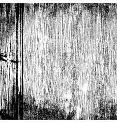 Wood Grainy Texture vector image
