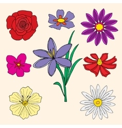 Flowers collection vector image