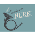 Newsletter web ad vector image