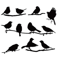 Silhouettes bird on a branch Silhouettes bird on a branch vector image