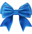 Beautiful Isolated Blue Bow vector image