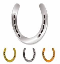 Horseshoe vector image