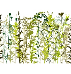 Natural wild plants and weeds vector image