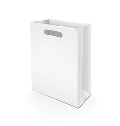 Paper bag vector image
