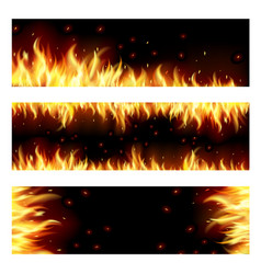 Flame vector image
