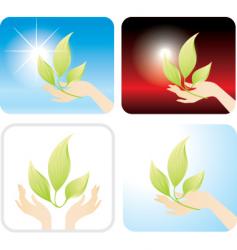Sprout vector image