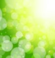 Spring forest bokeh vector image