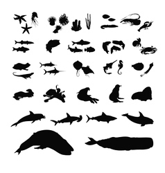 Sea life silhouette collection Sea life silhouette collection vector image