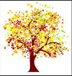 Maple tree on white Royalty Free Vector Image - VectorStock