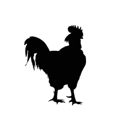Silhouette of a rooster isolated on white Silhouette of a rooster isolated on white vector image