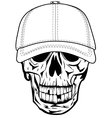 Skull in baseball cap vector image