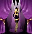 Curtain cabaret vector image