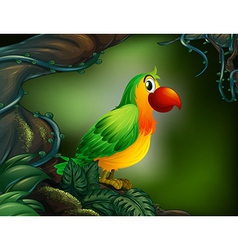 A parrot at the rain forest vector image