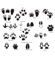 Animal trails prints vector image
