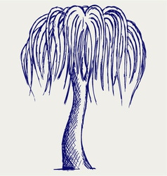 Trees silhouettes vector image