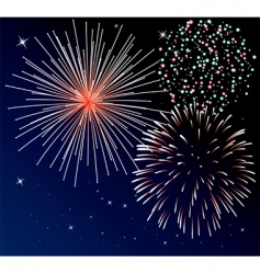 Three types of fireworks vector image