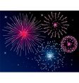 Fireworks vector image