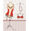 Vintage corset and bra vector image